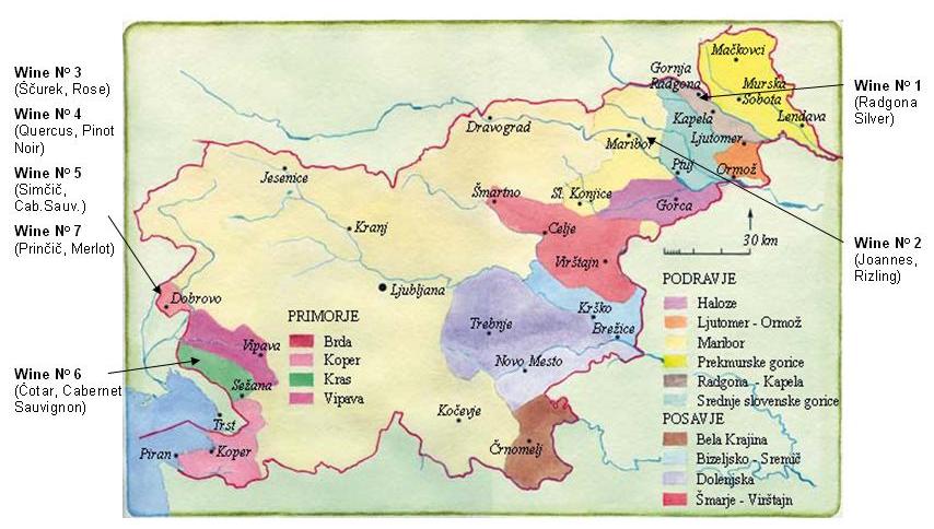 slovenia_wine_map.JPG
