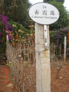 This sign at Yunnan Red Wine Company uses the standard translations...