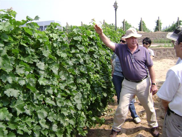 Wine maker Ken Murchison of Grace Vineyard