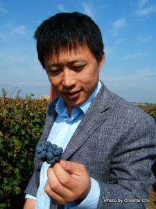 grape-wall-of-china-chantal-china-terroir-in-china-article-18