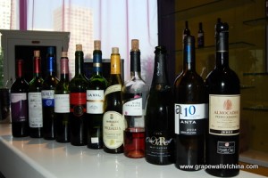 grape wall of china wine blog spanish tasting vineyard experience beijing mcp (1)