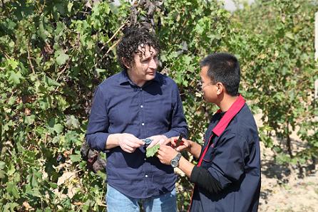 Winemakers Fragos and Liang at Helan Qing Xue (chapelhillwines.com.au(