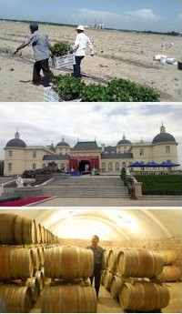 gwoc china winery visits