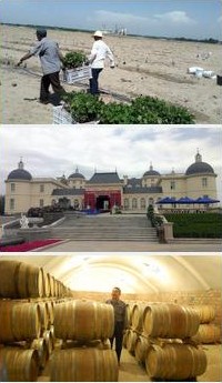 gwoc china winery visits