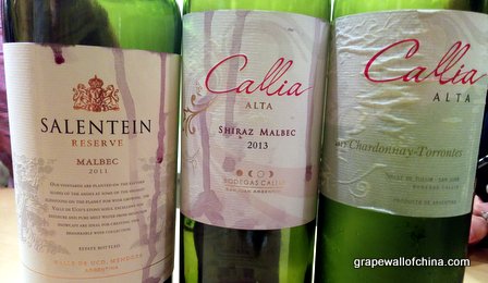 everwines torres calia salentein chardonnay torrontes syrah malbec argenchina beijing china