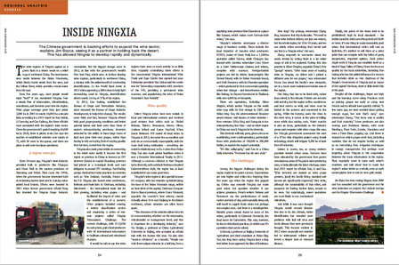ningxia regional analysis by jim boyce for wine business international.jpg