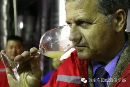 Gianpaolo Paglia Photo for Ningxia Winemakers Challenge Interview on Grape Wall of China 2