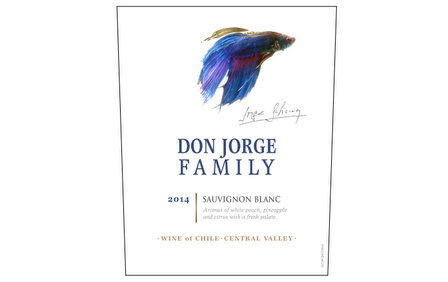 don jorge chile china wine project (2)