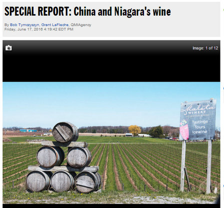 chinese wine investment in niagara wine region screen captures
