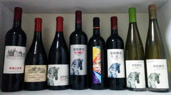 grape wall of china wines (2)