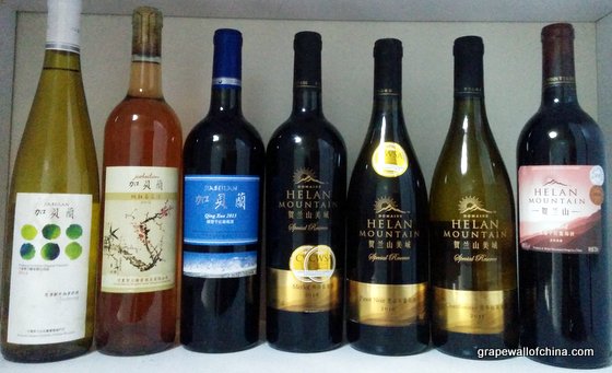 grape wall of china wines (5)