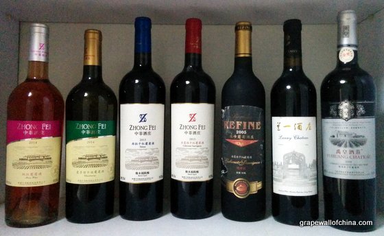grape wall of china wines (8)