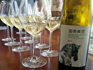 Wang Fang Kanaan Riesling Ningxia 2013