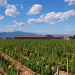 Huailai Amethyst Manor Winery Hebei China æ€€æ¥ç´«æ™¶åº„å›­