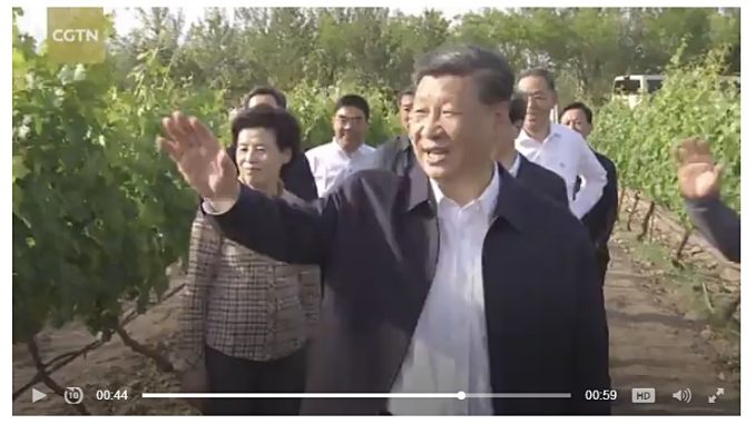 xi-jinping-ningxia-2