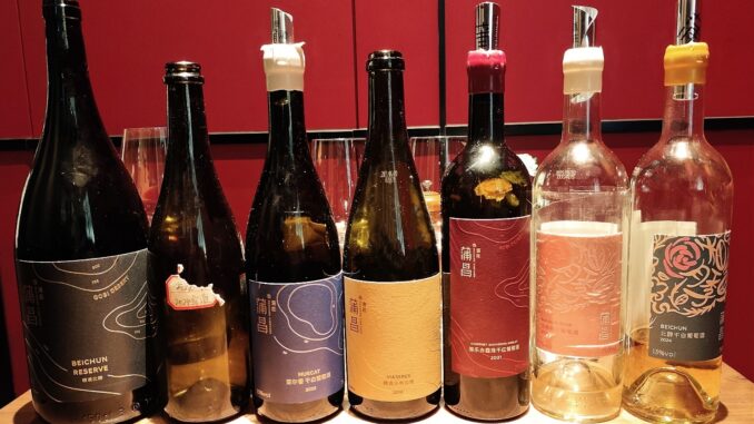 grape wall 2025 october puchang wine lunch (2)